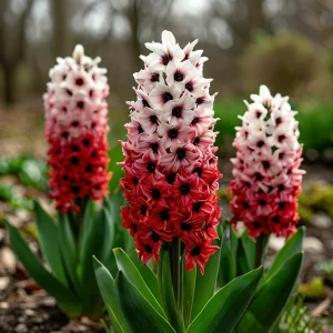 Гиацинт Скай Гарден купить по цене от 2099р. в интернет-магазине «Посадика» с доставкой почтой в в Балабановое и по всей России – [изображение №1].